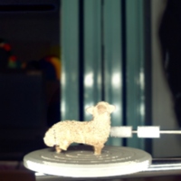 sheep_t1.jpg
