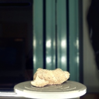 sheep_t14.jpg