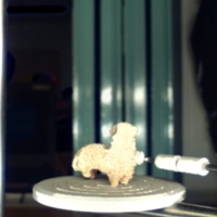 sheep_t2.jpg