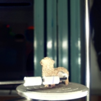 sheep_t4.jpg