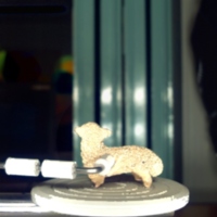 sheep_t5.jpg
