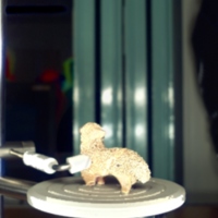 sheep_t6.jpg
