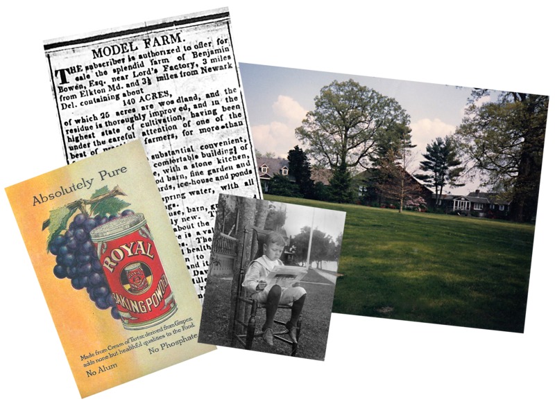 Broadlands History.png