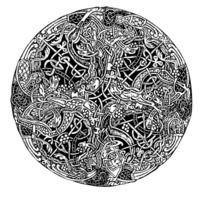 plant forms.jpg
