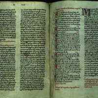 hippoManuscript.jpg