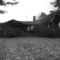 CE-1451_2013-12-6_15.jpg