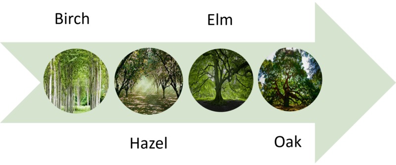 The First People Trees diagram.png