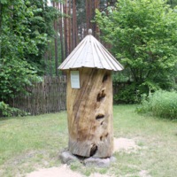 Vidzeme Hollowed Tree Trunk for Bees – Dore / Vidzemes Bišu Koks